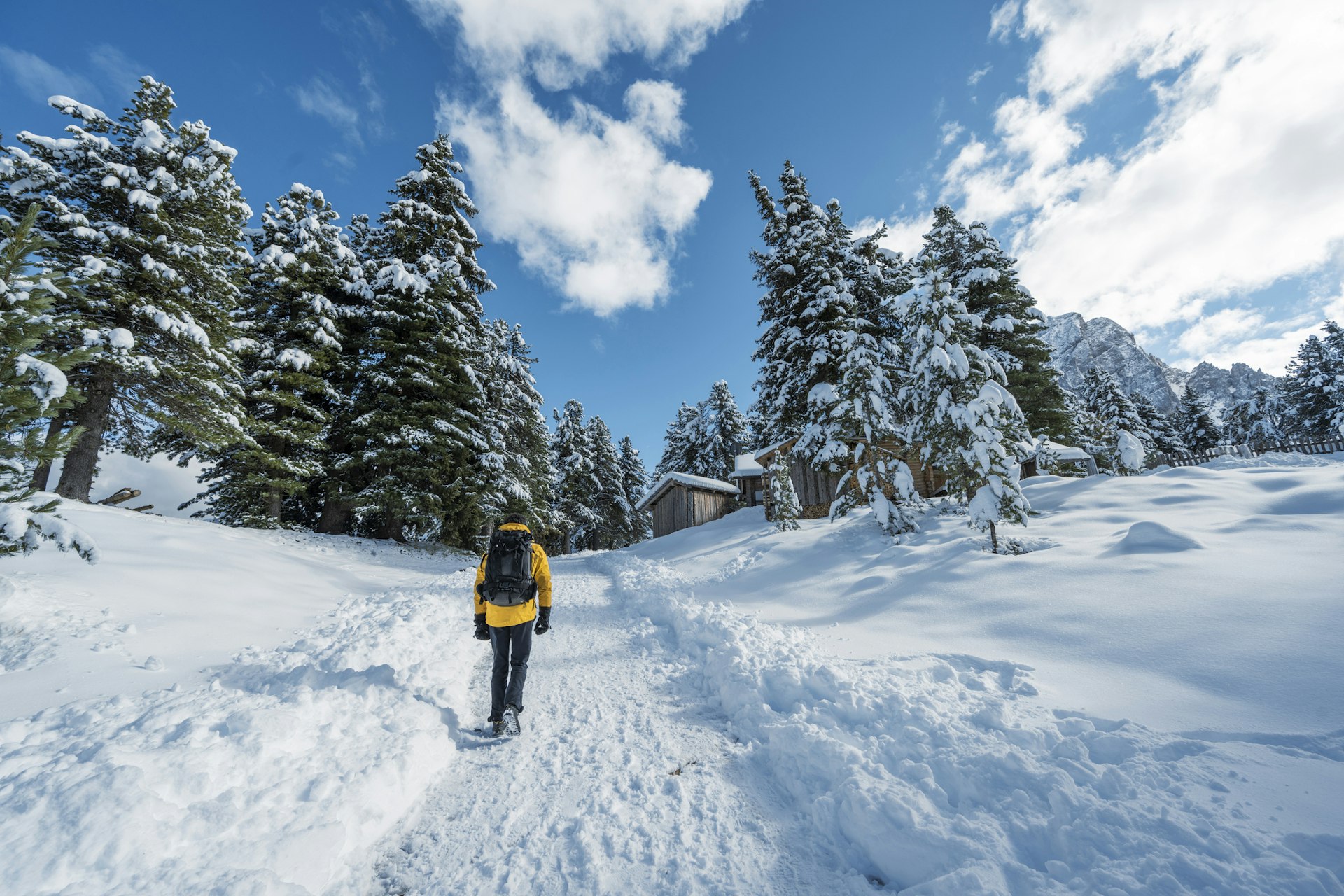 Snowshoeing in Trentino-Alto Adige, Italy