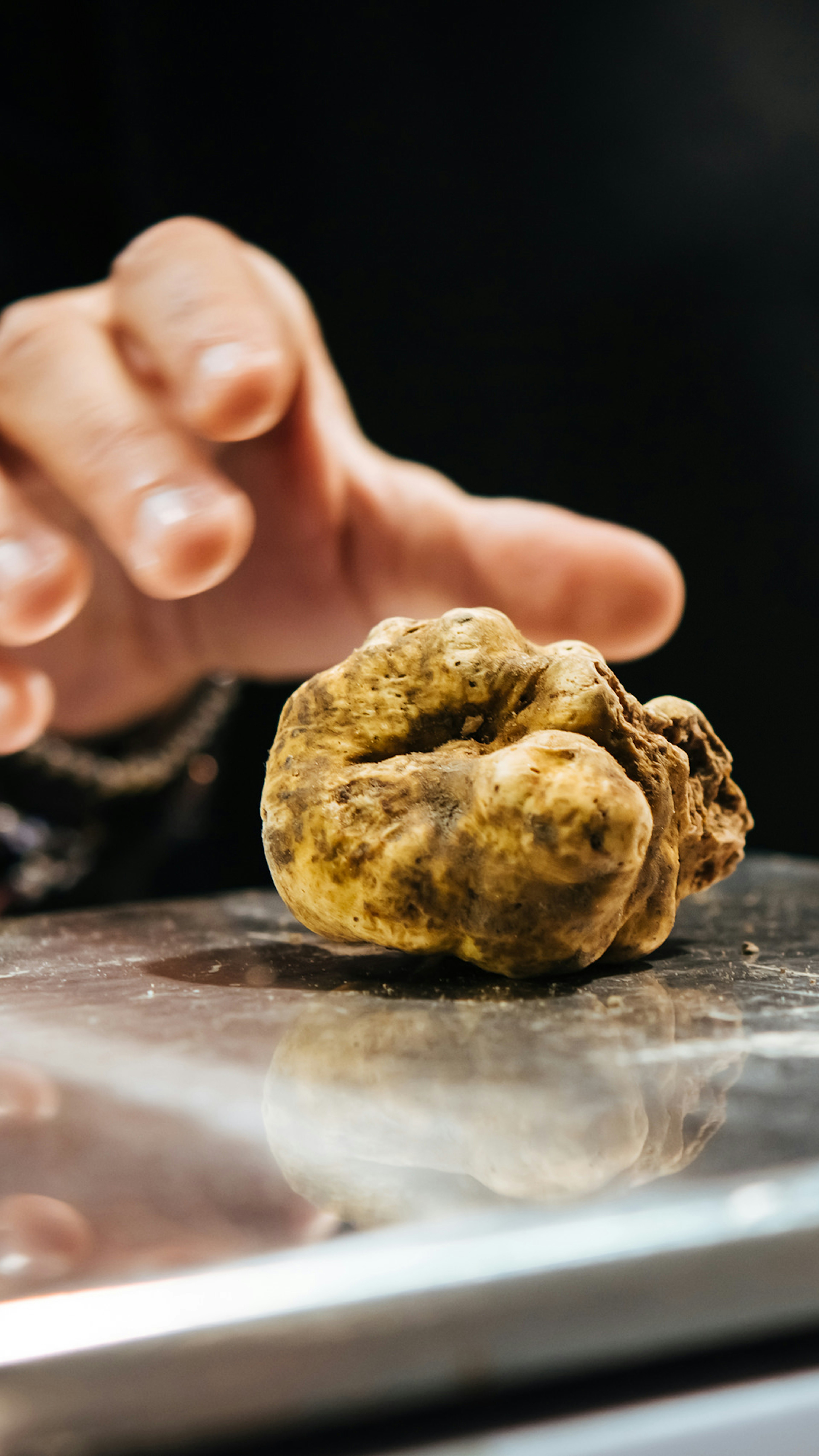 White truffles being weighed at a truffle fair in Alba.